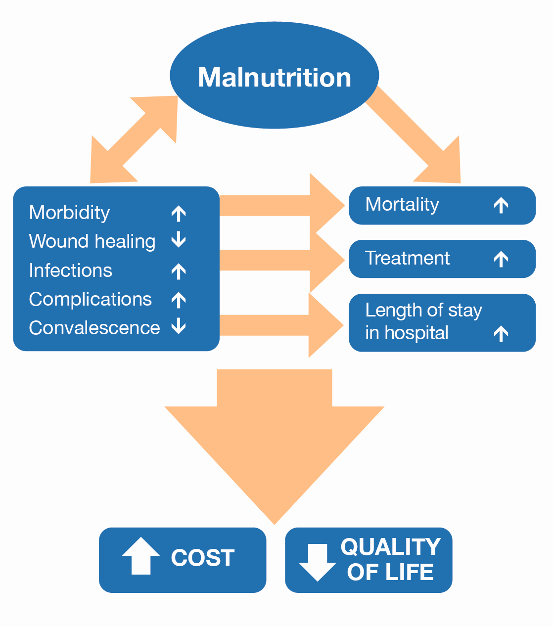 Prognostic impact of malnutrition (adapted from Norman et al. 2008)