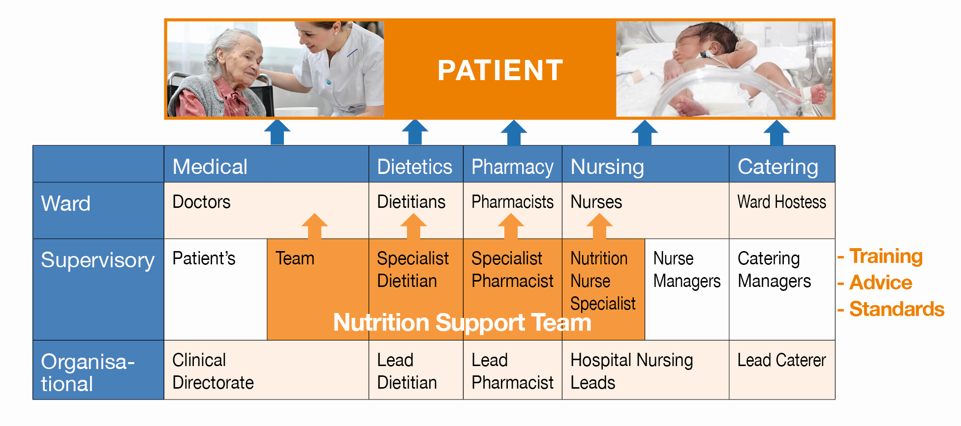 Nutrition Support Team members and range of activities (adapted from BAPEN see http://www.bapen.org.uk/ofnsh/page7.html (accessed 01.03.25))