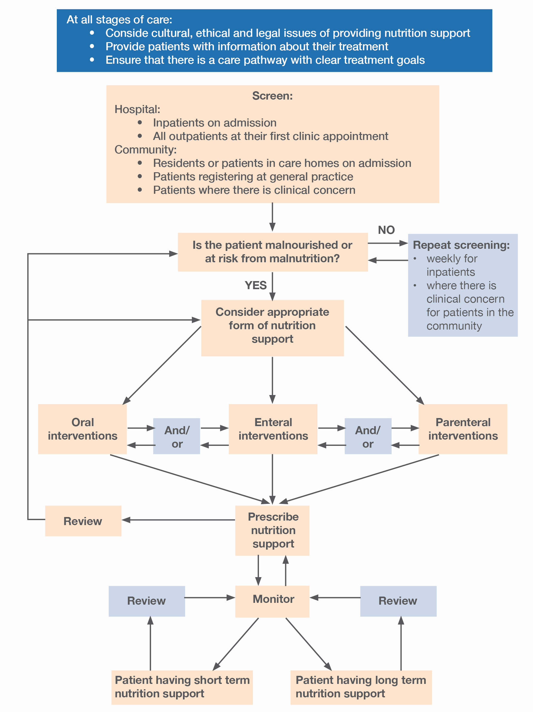 Example of a patient pathway algorithm for medical nutrition/nutrition support (NICE 2006)