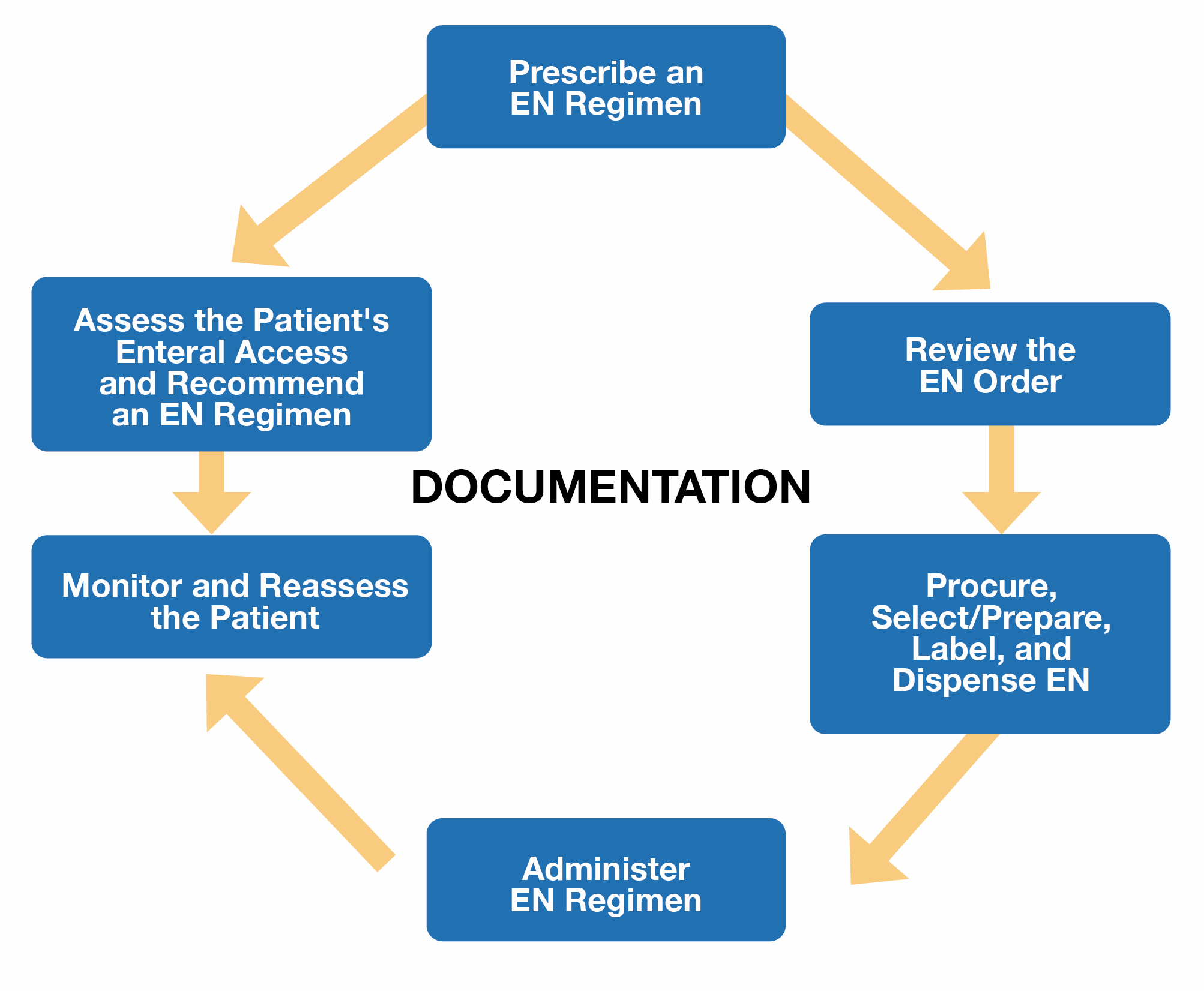 The Enteral Nutrition (EN) Use Process (adapted from Boullata 2017)